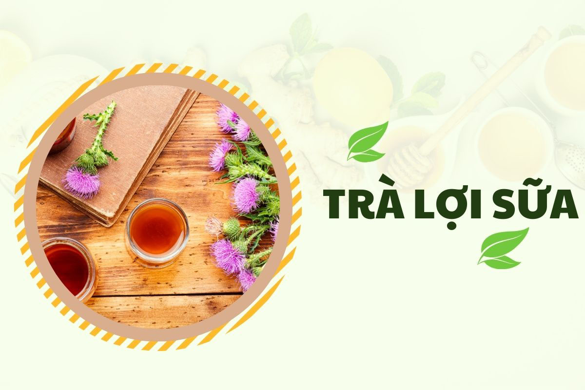 Lợi sữa Mế Hà